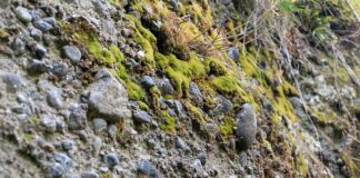 Czym się różni konglomerat od spieku?