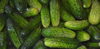 Ile chrzanu i czosnku do ogórków kiszonych?