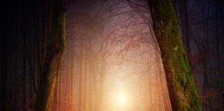 Jakie oświetlenie do stodoły?